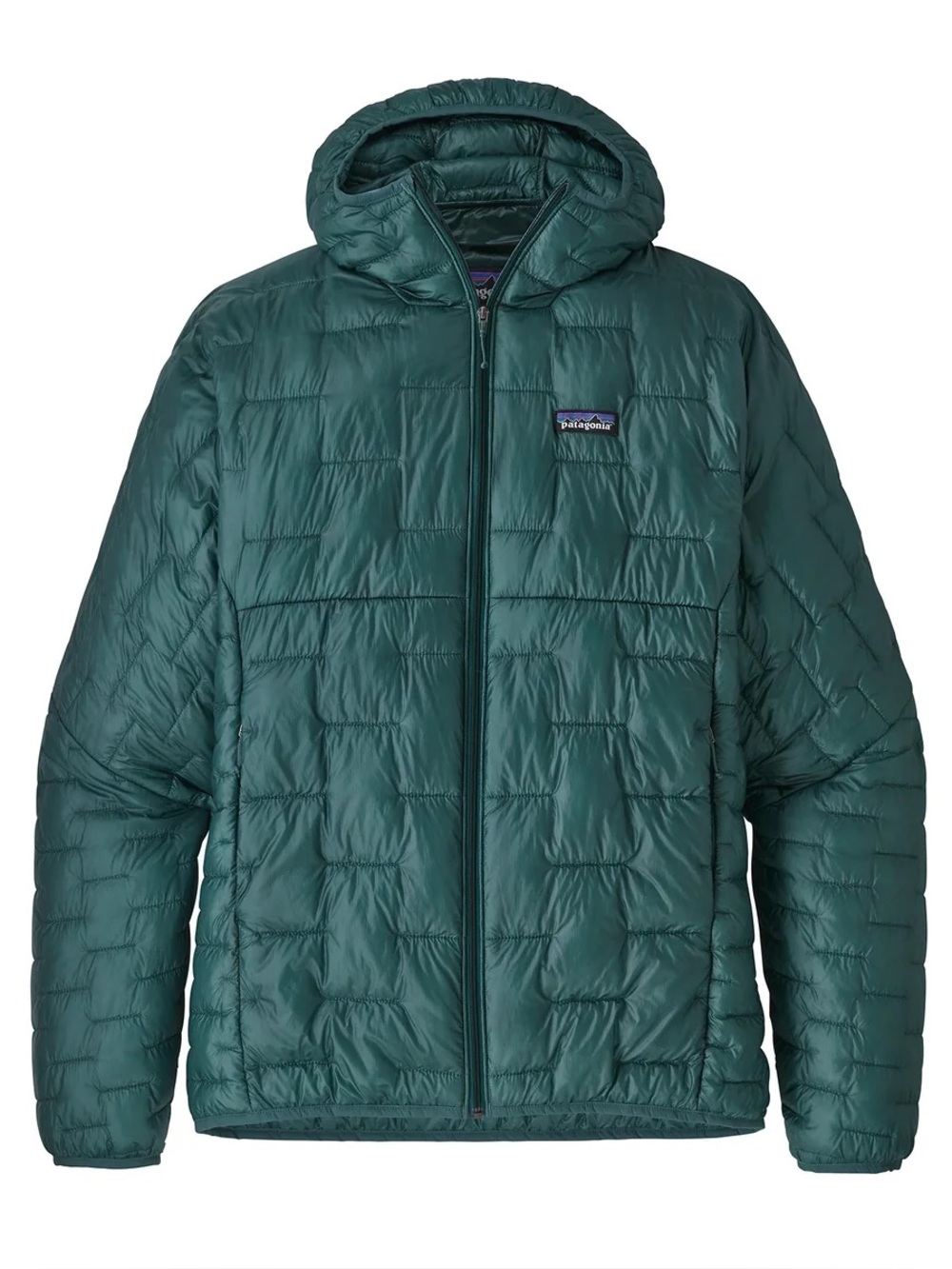 Patagonia Men’s Medium Micro Puff Hoody Puffer Jacket